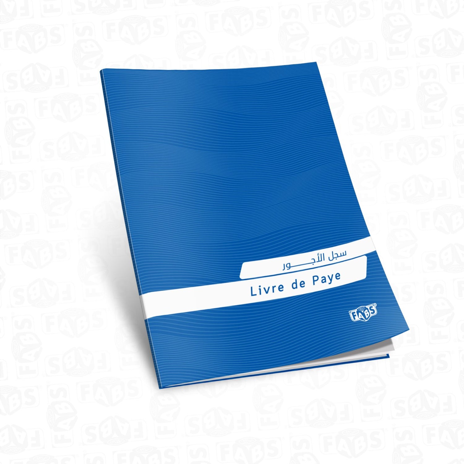 Livres comptables