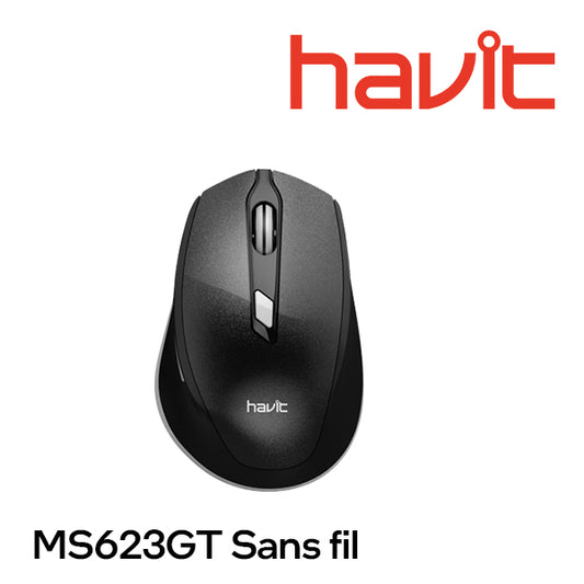 Souris sans fil Havit MS623GT