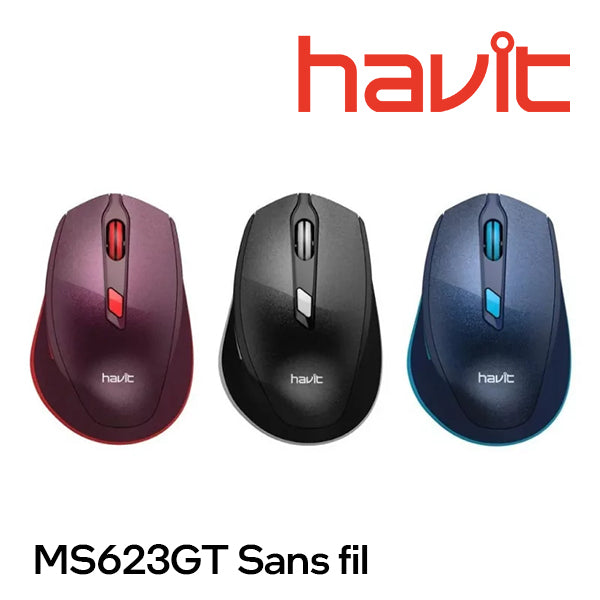 Souris sans fil Havit MS623GT