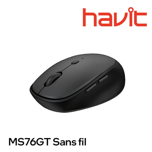 Souris sans fil Havit MS76GT