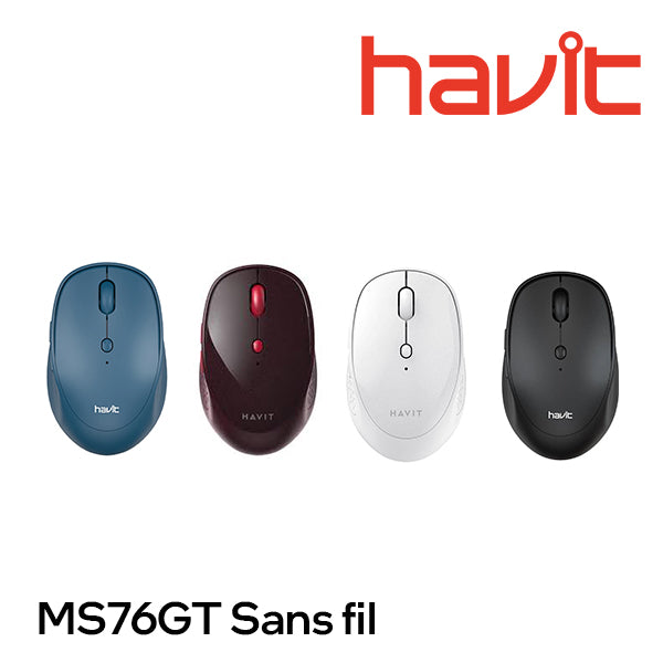 Souris sans fil Havit MS76GT